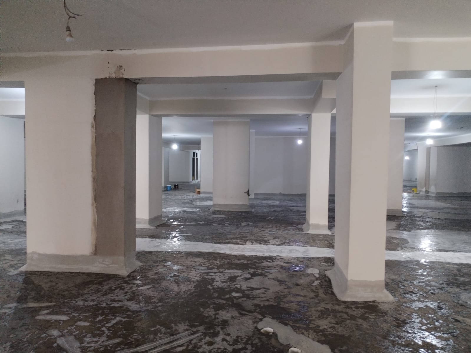 Image 36972