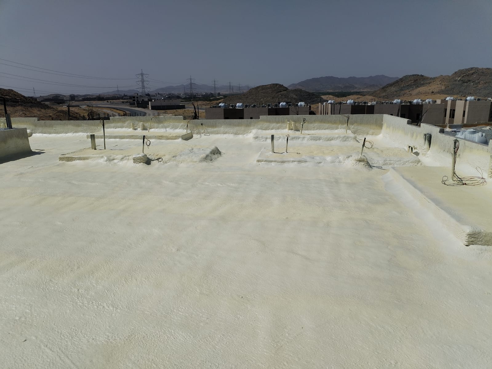 Image 36986